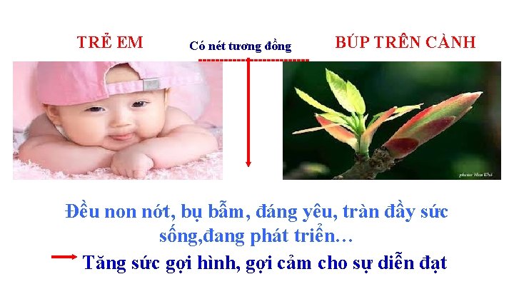 TRẺ EM Có nét tương đồng ------------- BÚP TRÊN CÀNH Đều non nớt, bụ