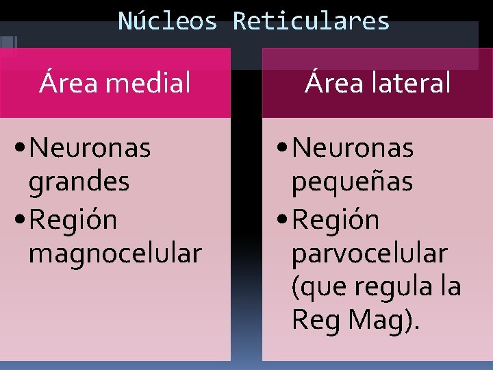 Núcleos Reticulares Área medial Área lateral • Neuronas grandes • Región magnocelular • Neuronas