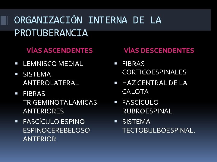 ORGANIZACIÓN INTERNA DE LA PROTUBERANCIA VÍAS ASCENDENTES LEMNISCO MEDIAL SISTEMA ANTEROLATERAL FIBRAS TRIGEMINOTALAMICAS ANTERIORES