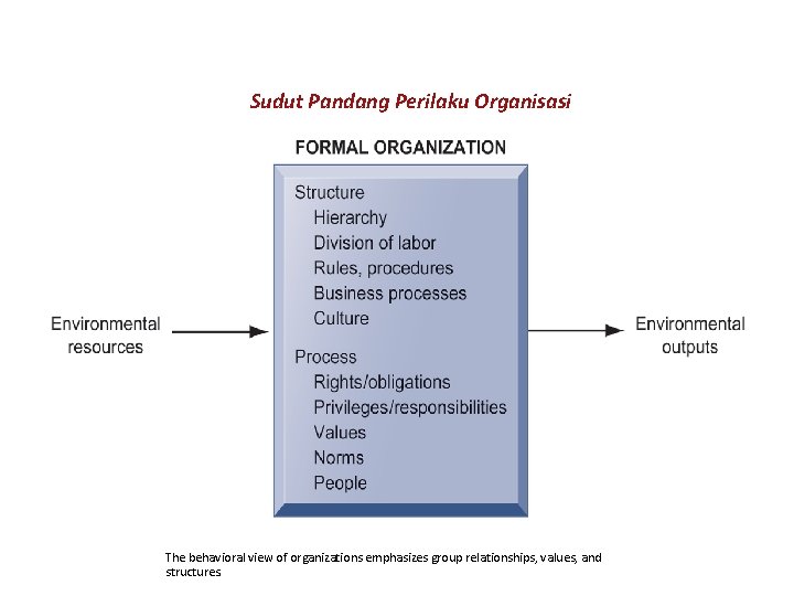 Sudut Pandang Perilaku Organisasi The behavioral view of organizations emphasizes group relationships, values, and