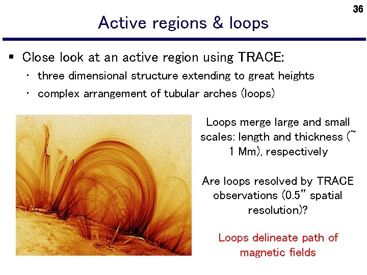 Active regions & loops 36 § Close look at an active region using TRACE: