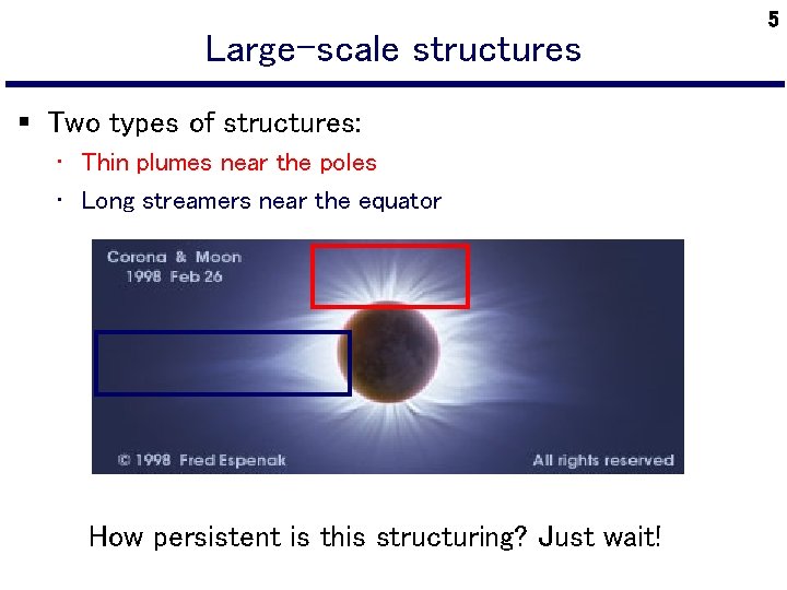 Large-scale structures § Two types of structures: • Thin plumes near the poles •