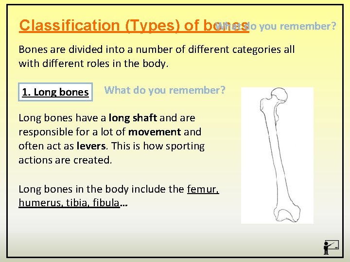 What do you remember? Classification (Types) of bones Bones are divided into a number