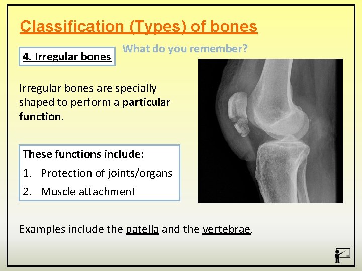 Classification (Types) of bones 4. Irregular bones What do you remember? Irregular bones are