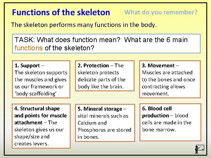 Functions of the skeleton What do you remember? The skeleton performs many functions in