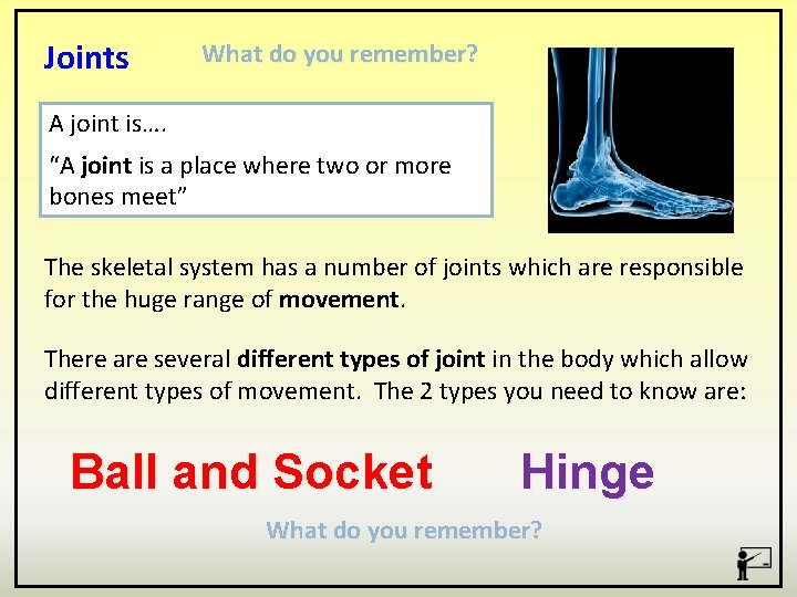 Joints What do you remember? A joint is…. “A joint is a place where