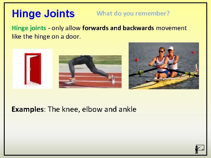 Hinge Joints What do you remember? Hinge joints - only allow forwards and backwards