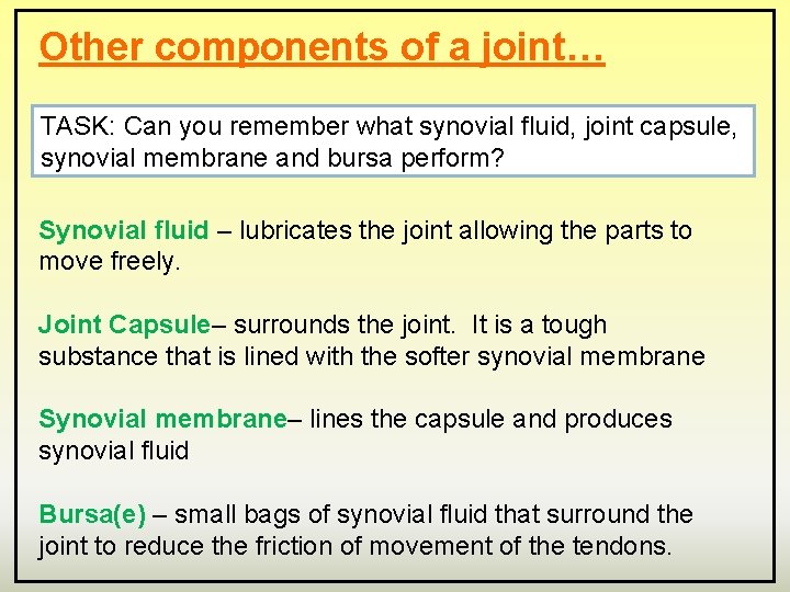 Other components of a joint… TASK: Can you remember what synovial fluid, joint capsule,