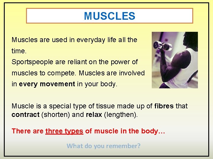 MUSCLES Muscles are used in everyday life all the time. Sportspeople are reliant on