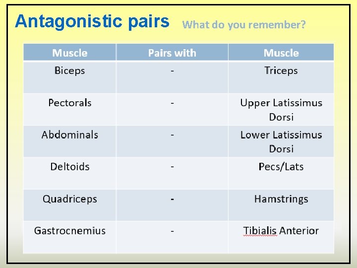 Antagonistic pairs What do you remember? Muscle Pairs with Biceps - Pectorals - Abdominals