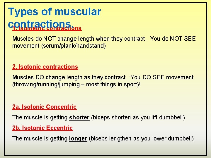 Types of muscular contractions. 1. Isometric contractions Muscles do NOT change length when they