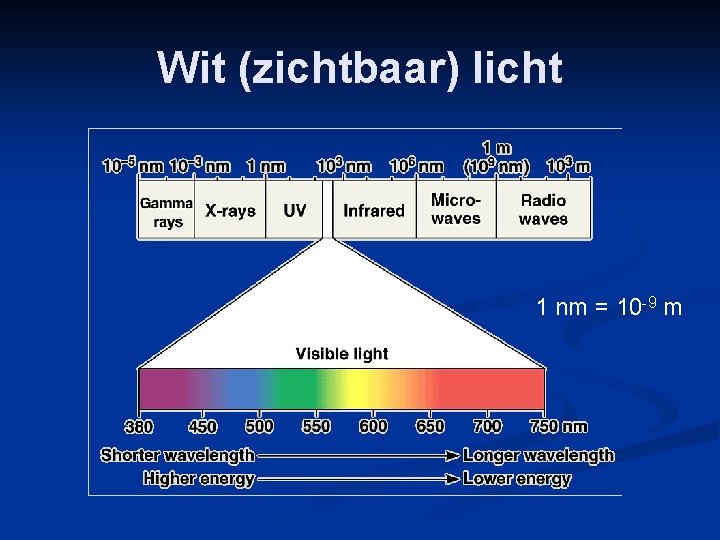 Wit (zichtbaar) licht 1 nm = 10 -9 m 