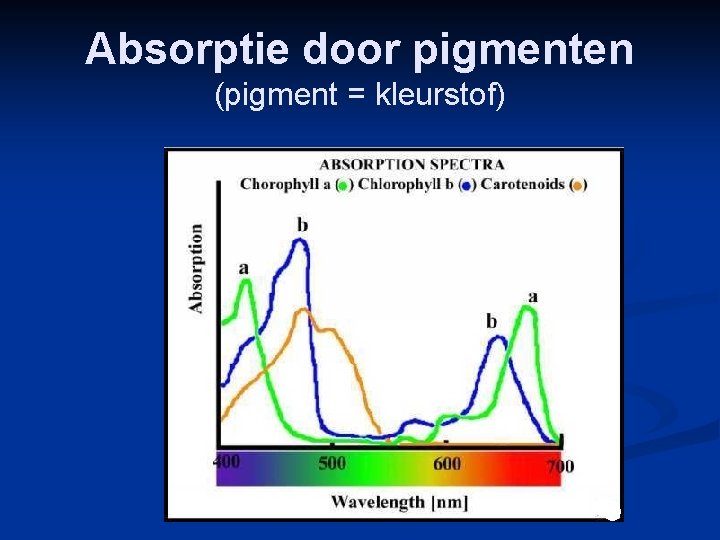 Absorptie door pigmenten (pigment = kleurstof) 