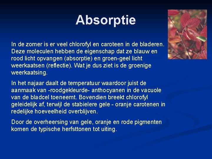 Absorptie In de zomer is er veel chlorofyl en caroteen in de bladeren. Deze