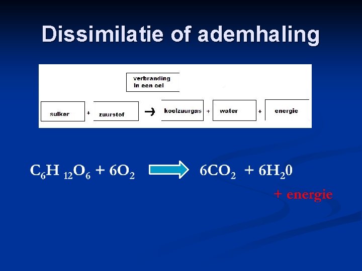 Dissimilatie of ademhaling 