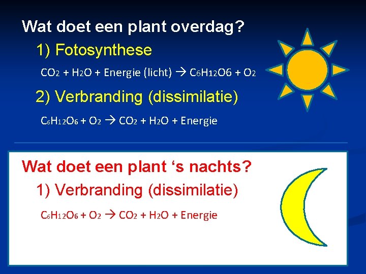 Wat doet een plant overdag? 1) Fotosynthese CO 2 + H 2 O +