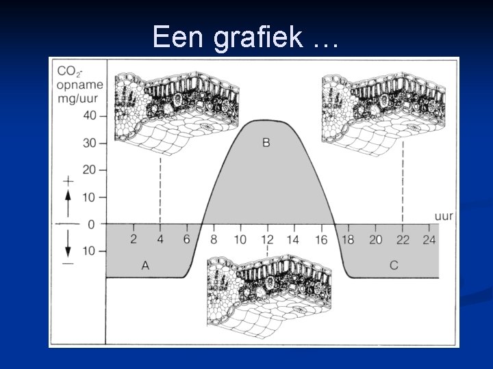 Een grafiek … 