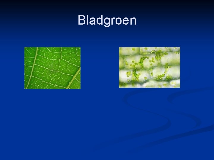 Bladgroen 