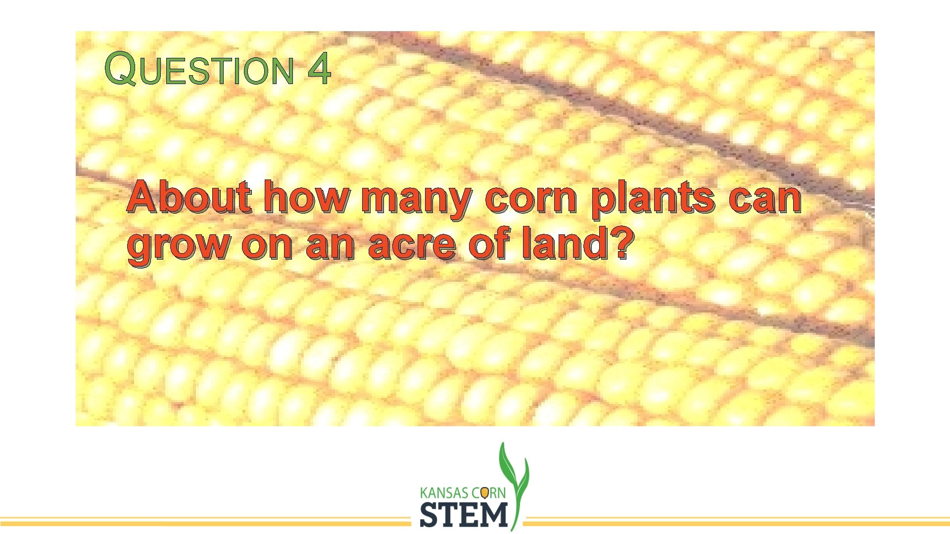 QUESTION 4 About how many corn plants can grow on an acre of land?