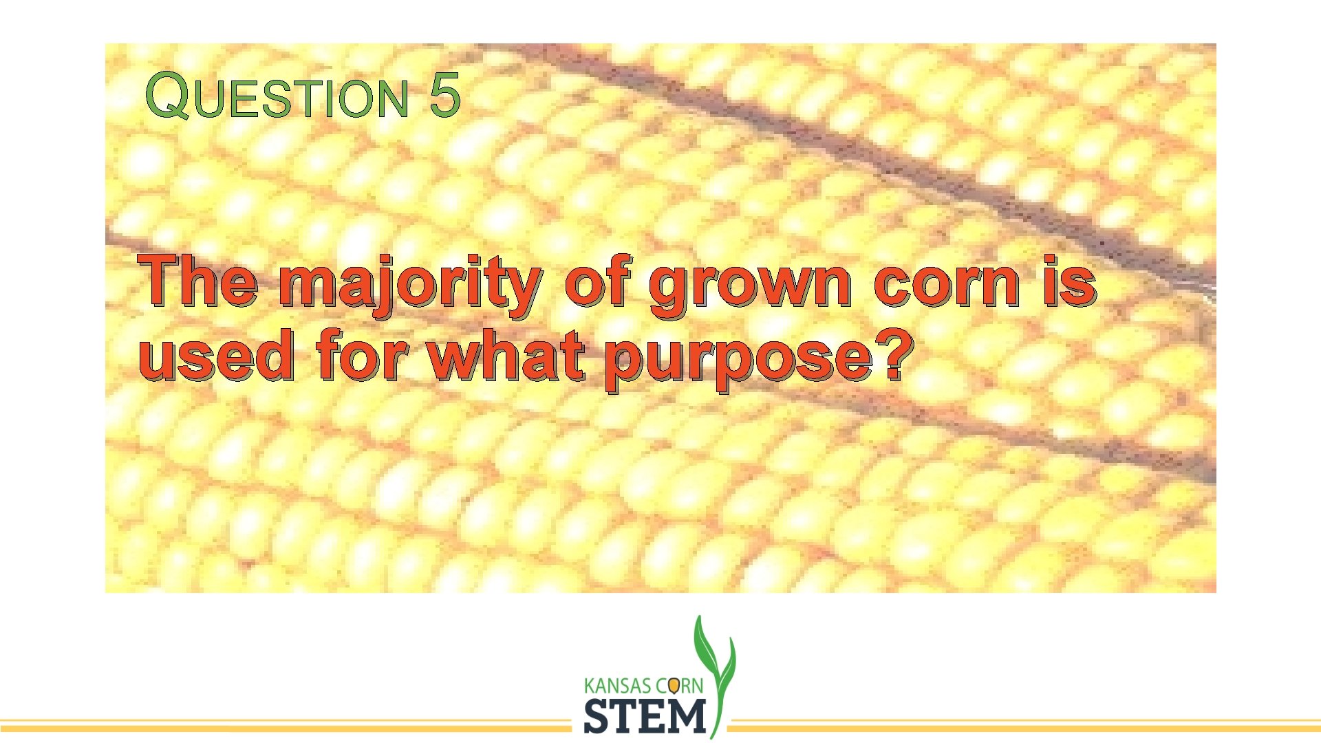 QUESTION 5 The majority of grown corn is used for what purpose? 