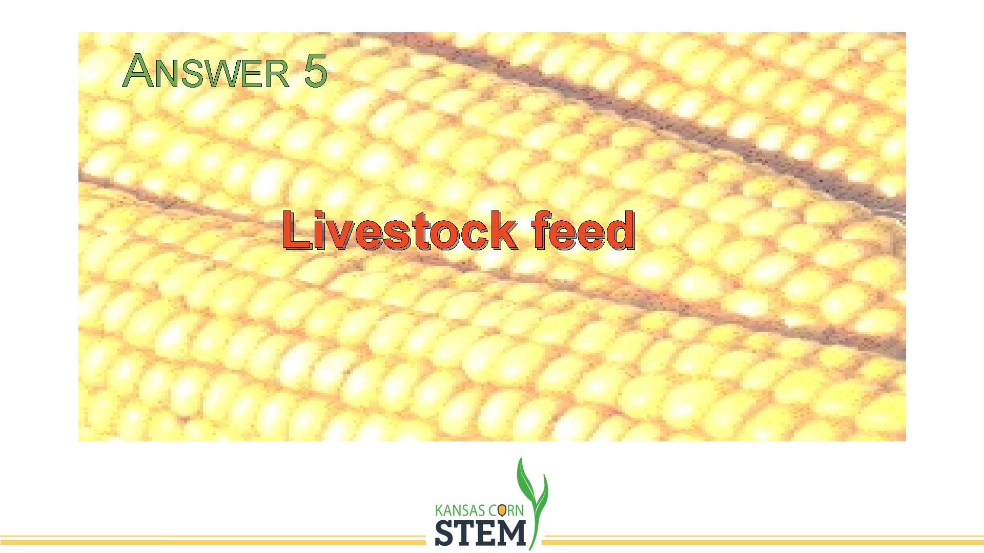 ANSWER 5 Livestock feed 