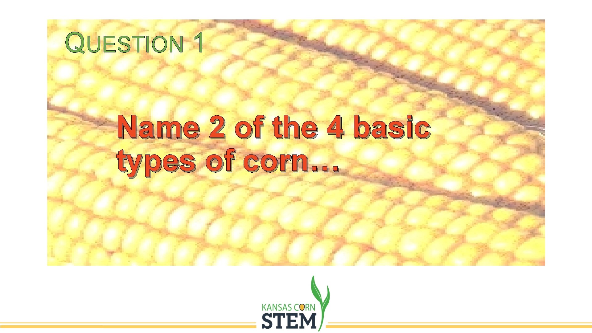 QUESTION 1 Name 2 of the 4 basic types of corn… 