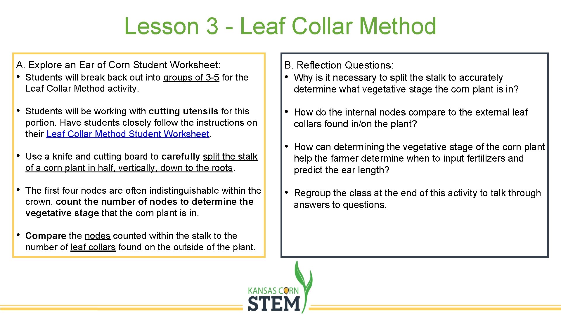 Lesson 3 - Leaf Collar Method A. Explore an Ear of Corn Student Worksheet: