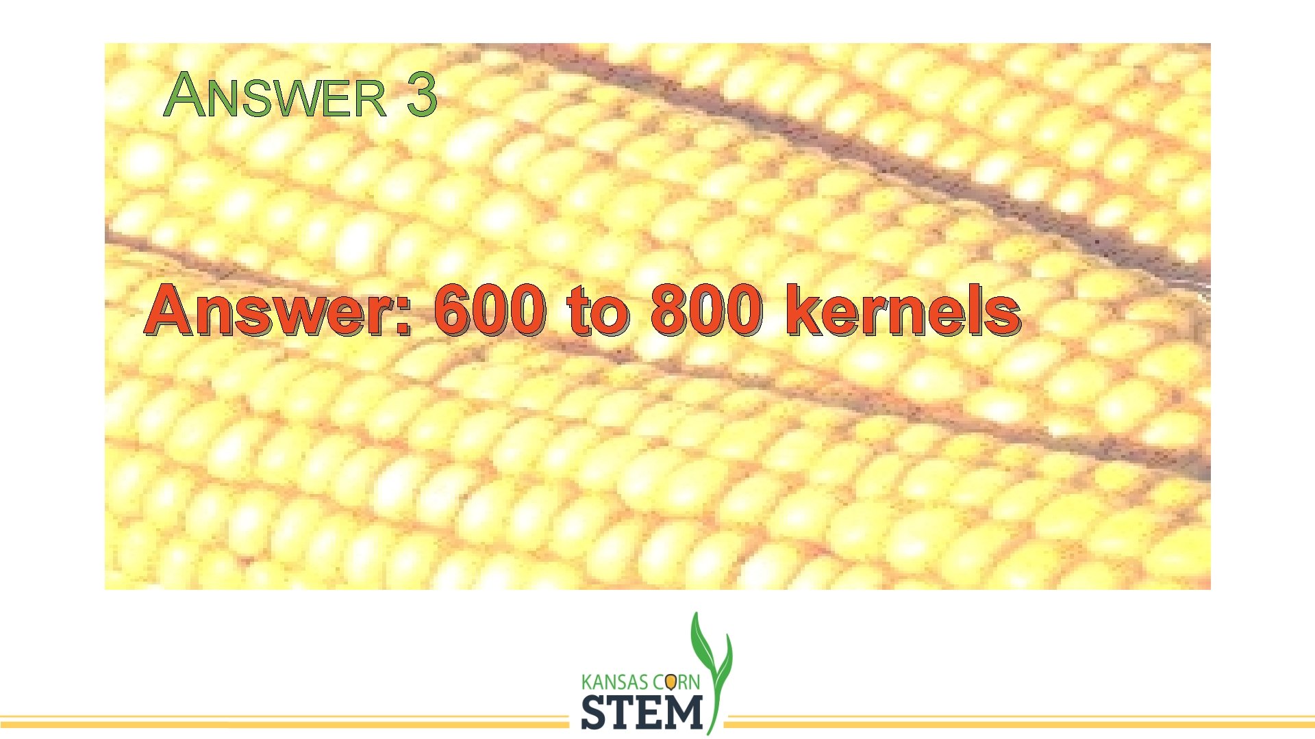 ANSWER 3 Answer: 600 to 800 kernels 