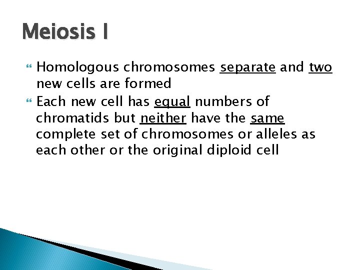 Meiosis I Homologous chromosomes separate and two new cells are formed Each new cell