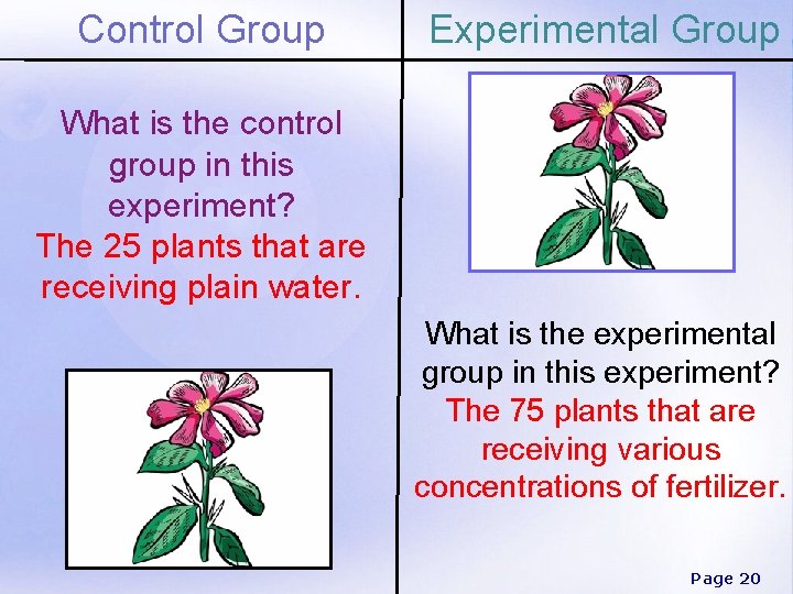 Control Group Experimental Group What is the control group in this experiment? The 25