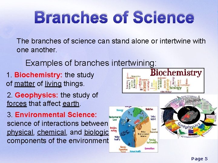 Branches of Science The branches of science can stand alone or intertwine with one