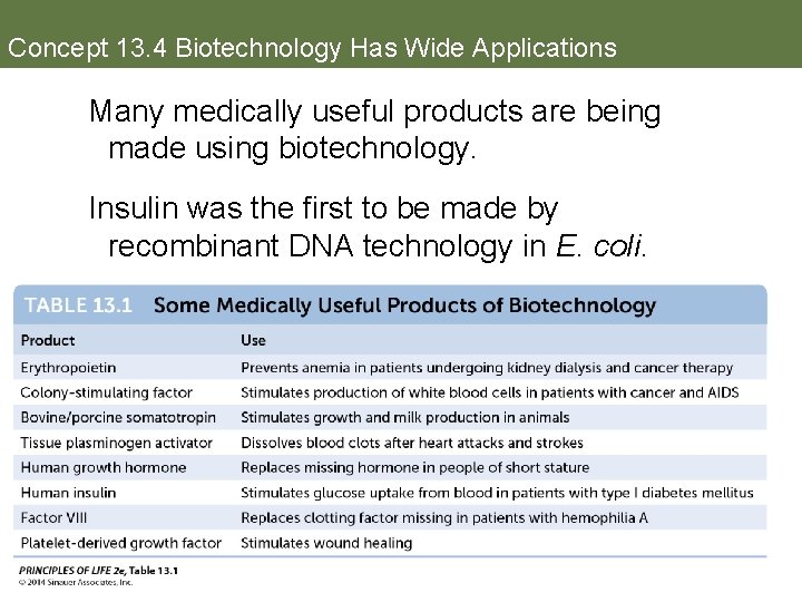 Concept 13. 4 Biotechnology Has Wide Applications Many medically useful products are being made