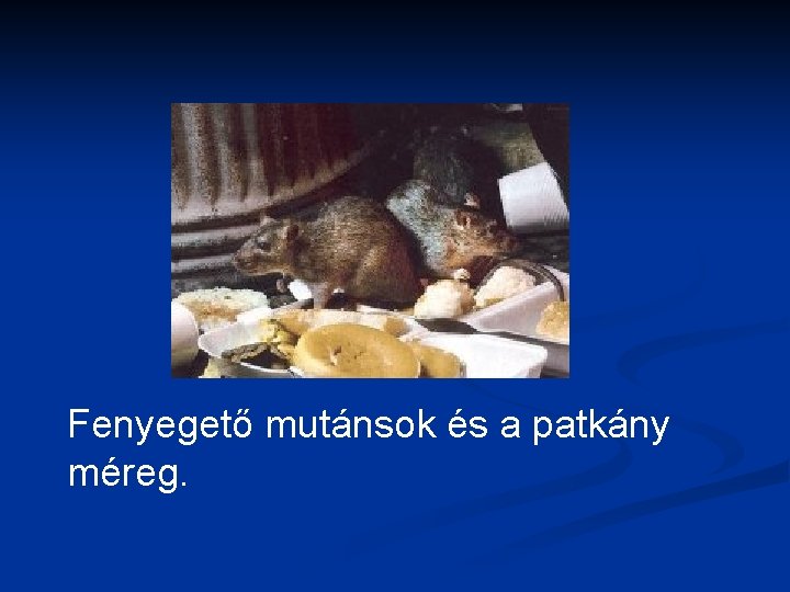 Fenyegető mutánsok és a patkány méreg. 