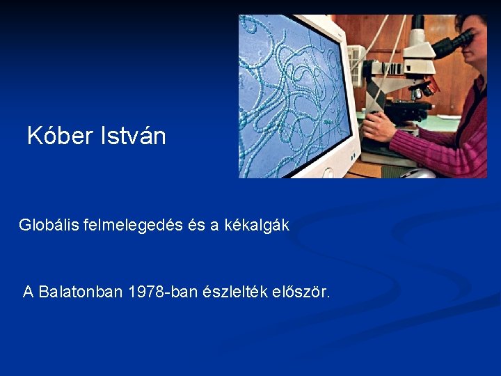 Kóber István Globális felmelegedés és a kékalgák A Balatonban 1978 -ban észlelték először. 