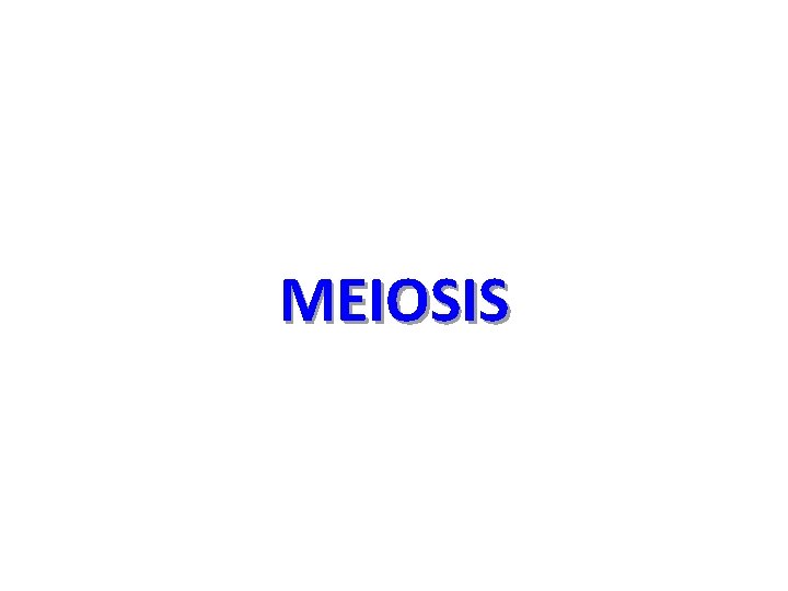 MEIOSIS 