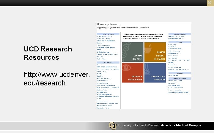 55 UCD Research Resources http: //www. ucdenver. edu/research 