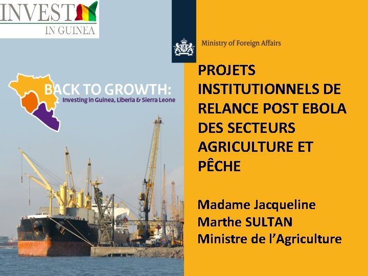 PROJETS INSTITUTIONNELS DE RELANCE POST EBOLA DES SECTEURS AGRICULTURE ET PÊCHE Madame Jacqueline Marthe