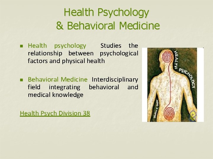 Health Psychology & Behavioral Medicine n n Health psychology Studies the relationship between psychological