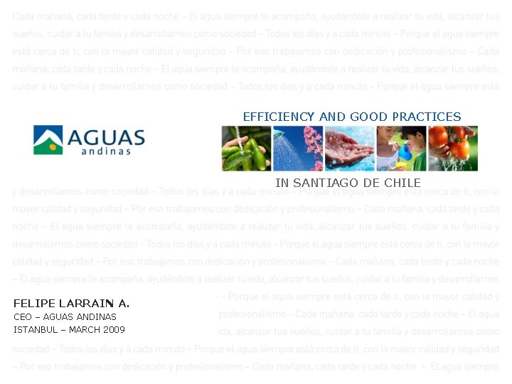 EFFICIENCY AND GOOD PRACTICES IN SANTIAGO DE CHILE FELIPE LARRAIN A. CEO – AGUAS