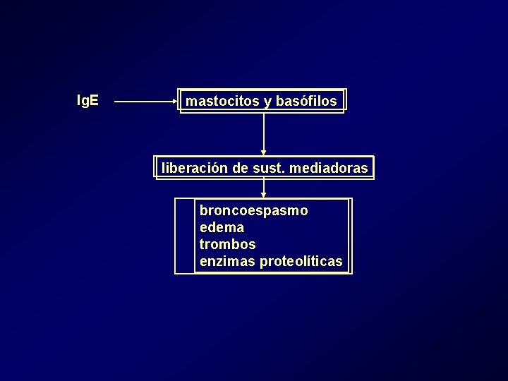 Ig. E mastocitos y basófilos liberación de sust. mediadoras broncoespasmo edema trombos enzimas proteolíticas Ig. E mastocitos y basófilos liberación de sust. mediadoras broncoespasmo edema trombos enzimas proteolíticas