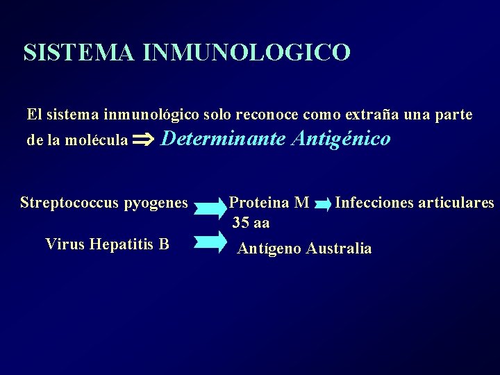 SISTEMA INMUNOLOGICO El sistema inmunológico solo reconoce como extraña una parte de la molécula SISTEMA INMUNOLOGICO El sistema inmunológico solo reconoce como extraña una parte de la molécula