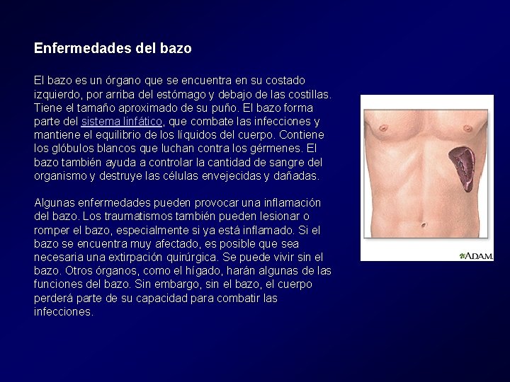 Enfermedades del bazo El bazo es un órgano que se encuentra en su costado Enfermedades del bazo El bazo es un órgano que se encuentra en su costado