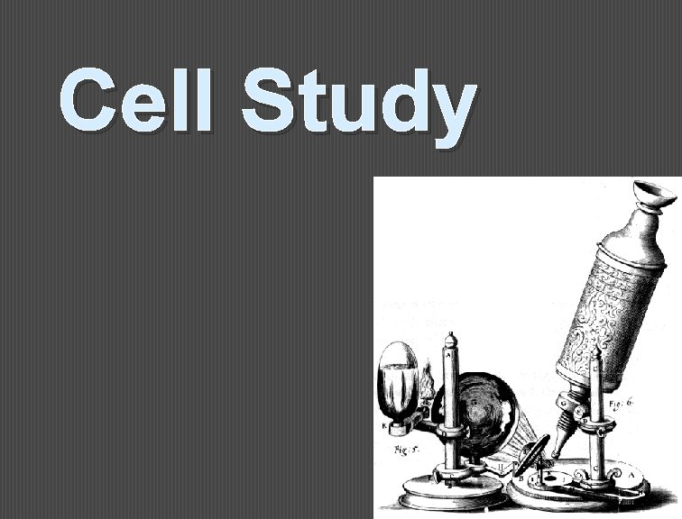 Cell Study 1 