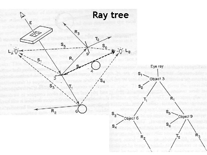 Ray tree 