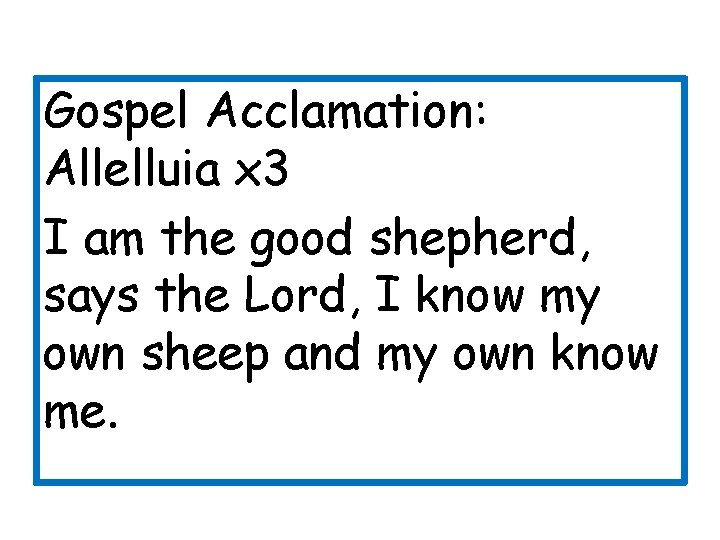 Gospel Acclamation: Allelluia x 3 I am the good shepherd, says the Lord, I