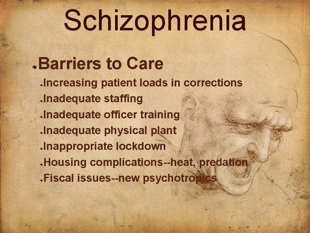 Schizophrenia Barriers to Care Increasing patient loads in corrections Inadequate staffing Inadequate officer training