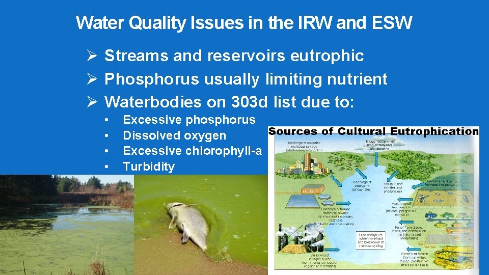 Water Quality Issues in the IRW and ESW Ø Streams and reservoirs eutrophic Ø