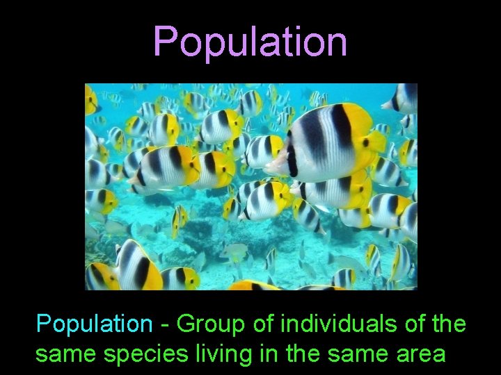 Understanding Populations Learning Objectives Identify the levels of organization that