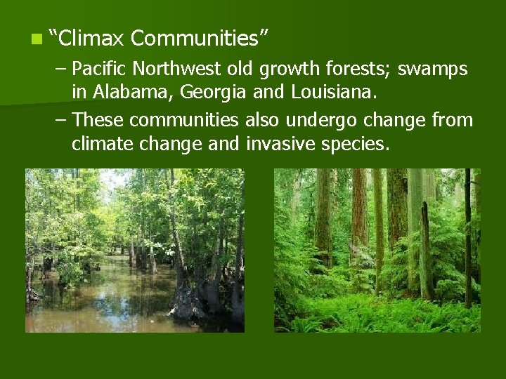 n “Climax Communities” – Pacific Northwest old growth forests; swamps in Alabama, Georgia and