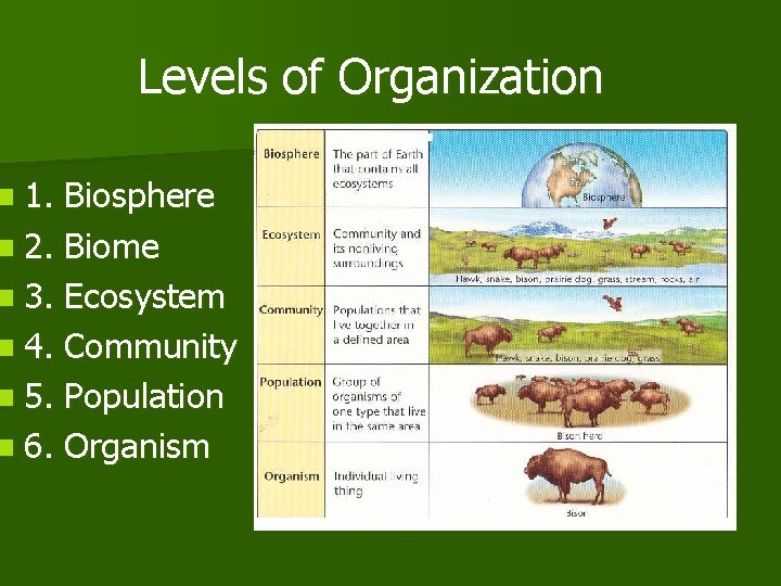 n 1. Levels of Organization Biosphere n 2. Biome n 3. Ecosystem n 4.